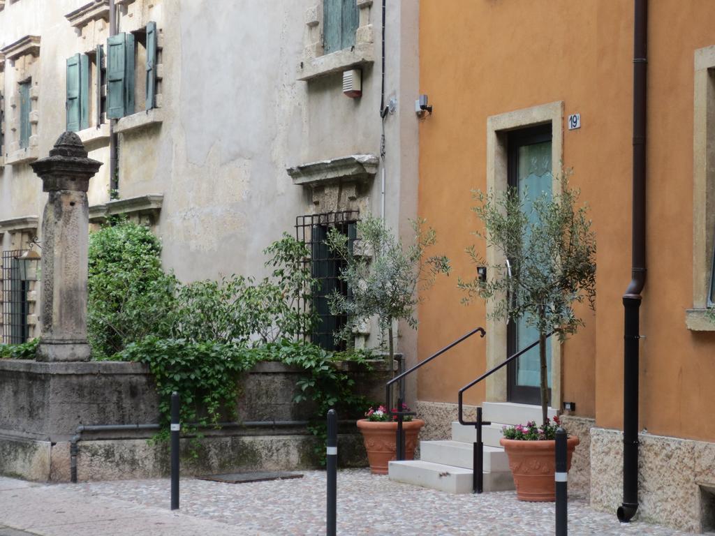 Casa Panvinio — Photos 2